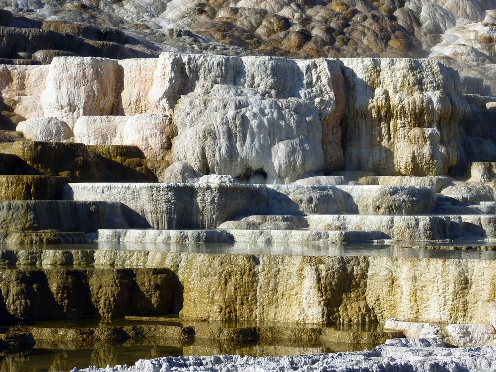 Yellowstone Mammoth Hotsprings (32).JPG
